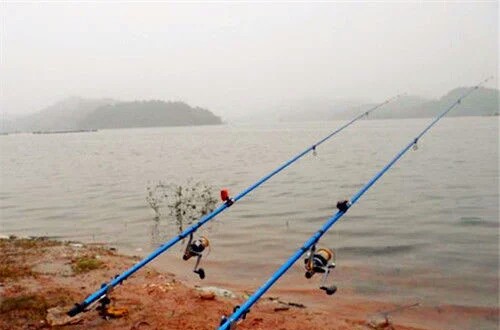 抛竿的使用方法及钓鱼技巧,春季抛竿钓鲫鱼饵料
