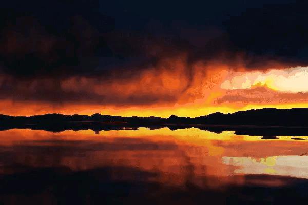 山水花鸟图片欣赏及名称,画花鸟鱼虫活灵活现