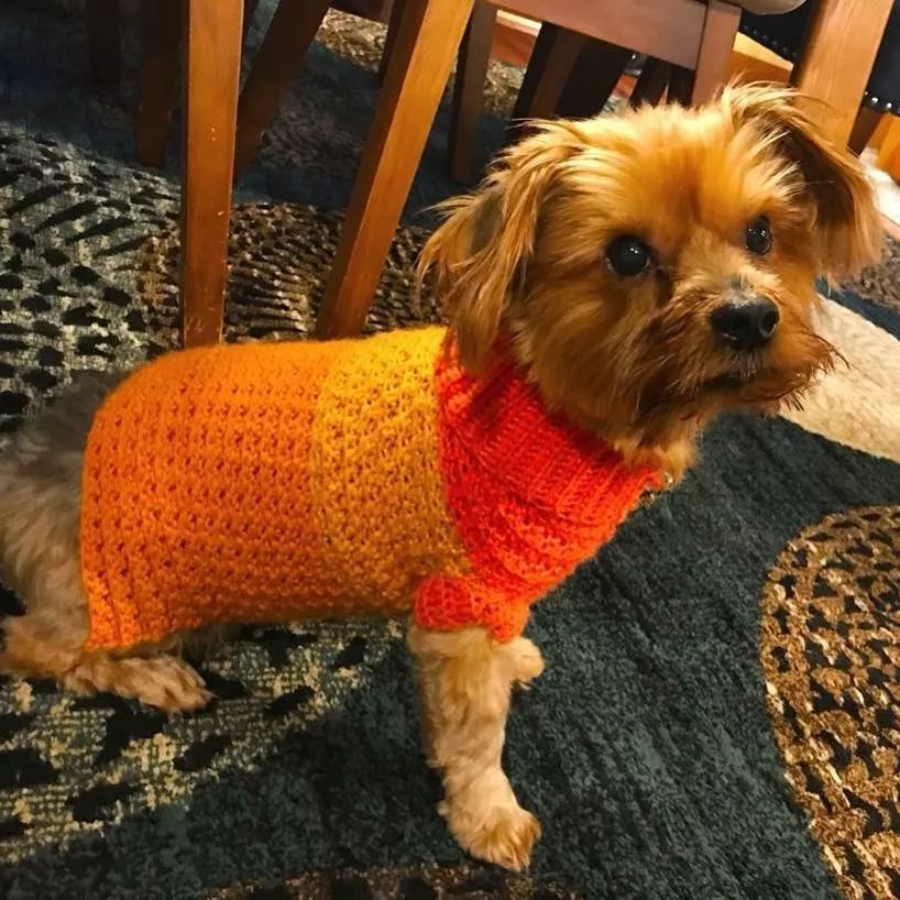 19万人看男生玩编织，他用钩针从弃婴，逆袭为美国“全民偶像”