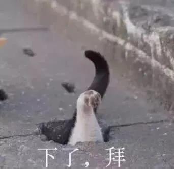 自然灾害造成的损失缴税吗,因自然灾害造成重大损失的所得税