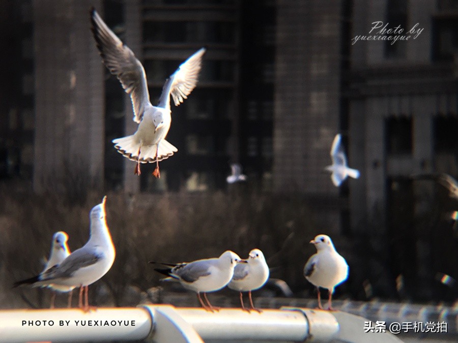 手机如何拍好“动态物体”？实例教你拍光轨、追焦、水拉丝