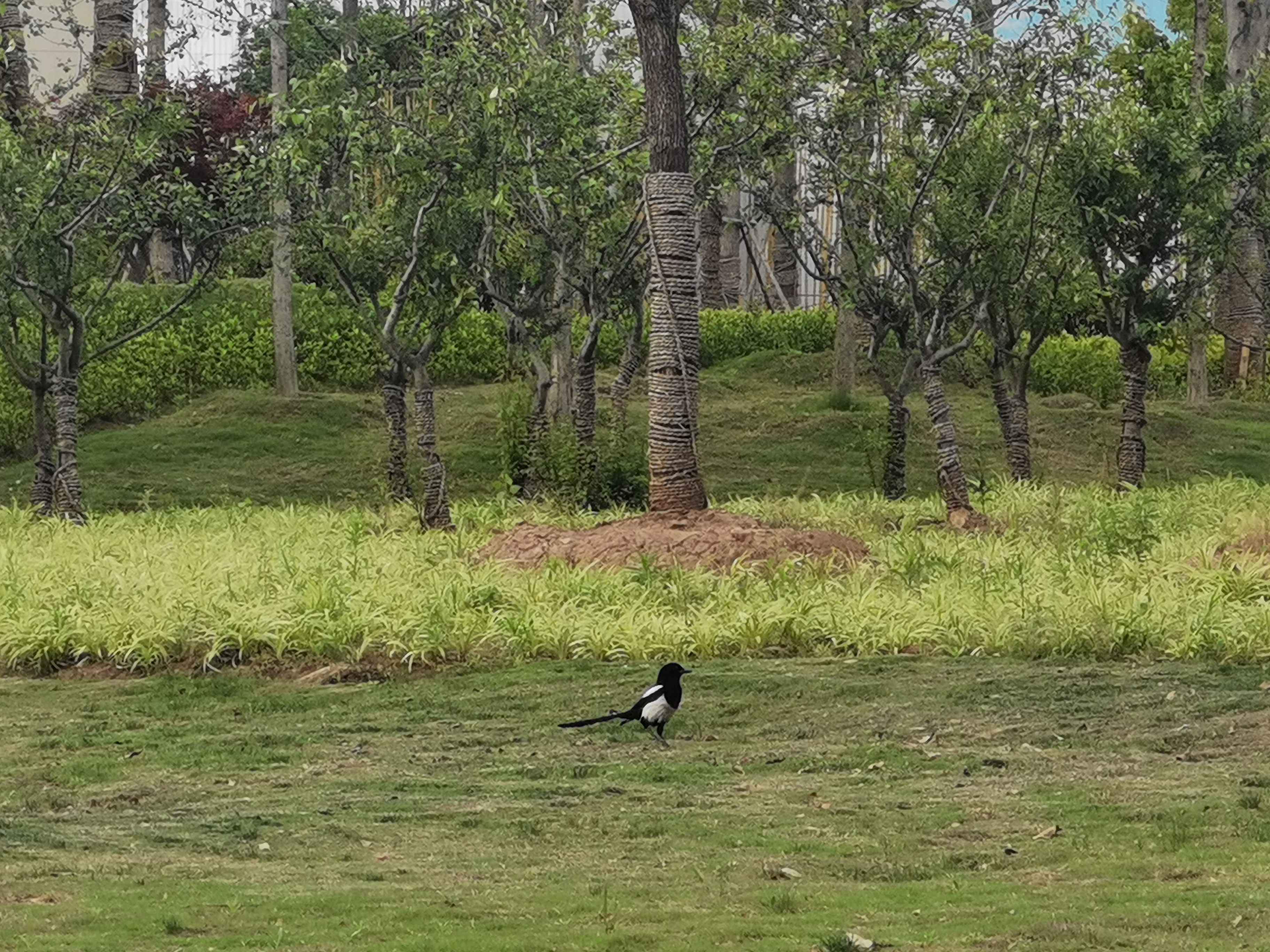 马鞍山风景名胜区,生态画卷美不胜收