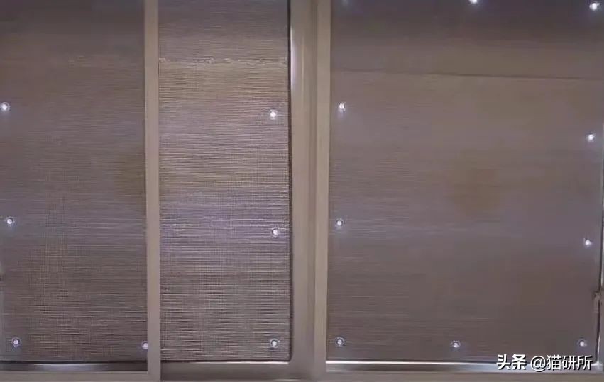 猫咪夏季好物推荐平价,猫咪防抓好物推荐