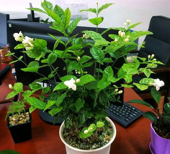 <html>
<head><title>502BadGateway</title></head>
<body>
<center><h1>502BadGateway</h1></center>
<hr><center>nginx</center>
</body>
</html>
<!--apaddingtodisableMSIEandChromefriendlyerrorpage-->
<!--apaddingtodisableMSIEandChromefriendlyerrorpage-->
<!--apaddingtodisableMSIEandChromefriendlyerrorpage-->
<!--apaddingtodisableMSIEandChromefriendlyerrorpage-->
<!--apaddingtodisableMSIEandChromefriendlyerrorpage-->
<!--apaddingtodisableMSIEandChromefriendlyerrorpage-->
