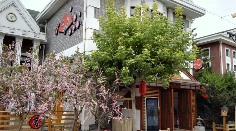 大连真建了日本风情街吗,对大连日本风情街看法作文