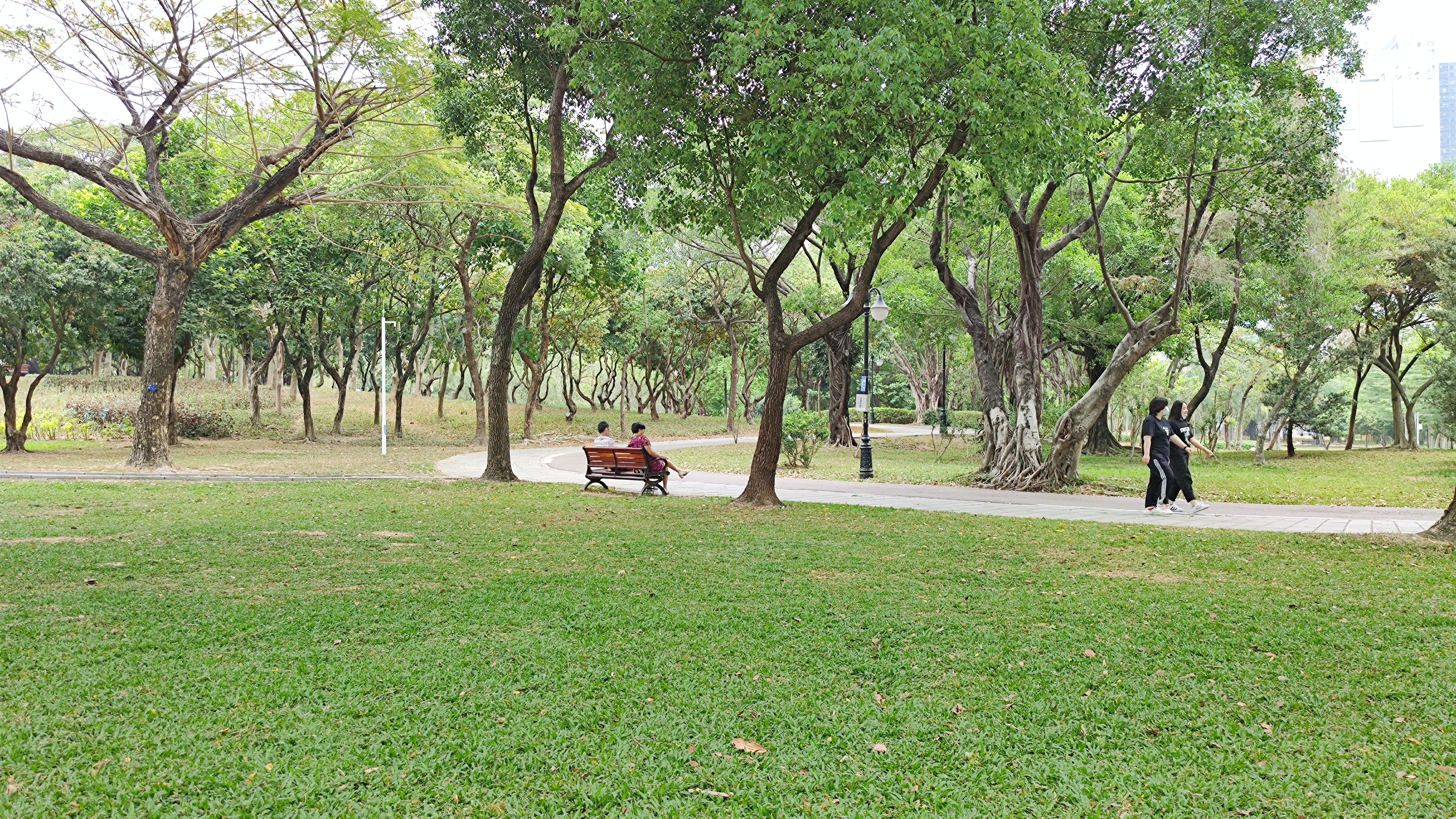 深圳10个最具怀念价值公园,深圳10大公园排名榜单最新公布