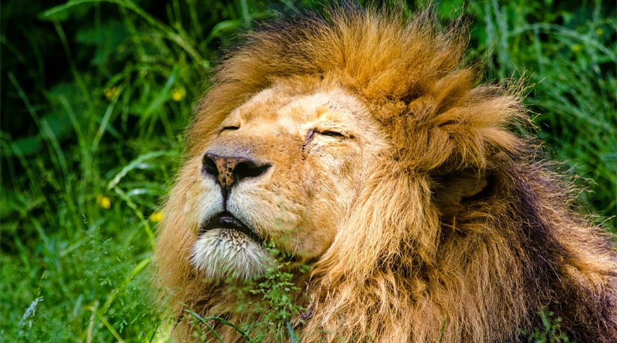 双十一热词,双11电商是什么意思呀