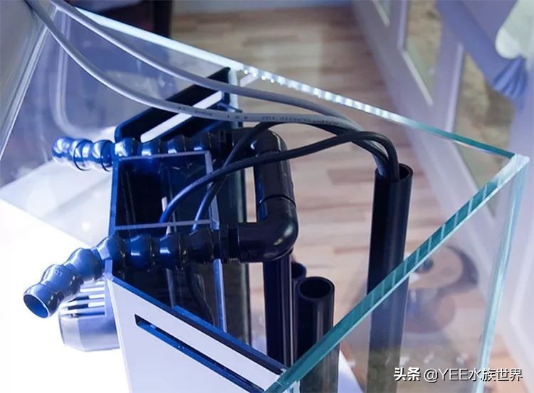 超白缸的优点和缺点,超白缸优点