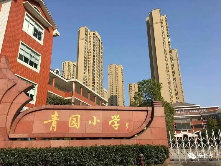 干货圈新晋黑马,干货小零食排行