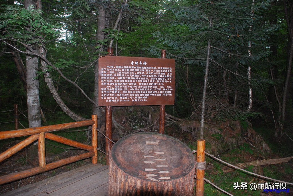 成都到东三省自驾游最佳路线,成都至东北自驾游