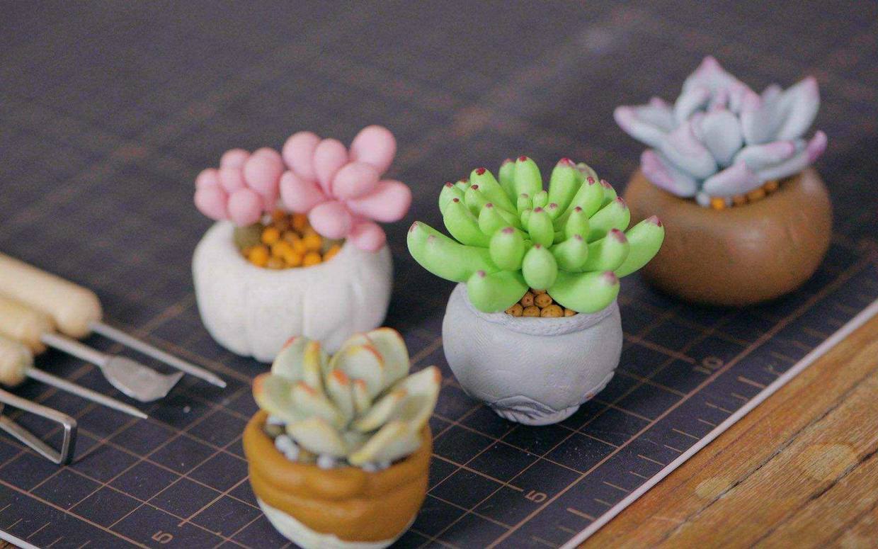 怎样让多肉火焰蒂亚叶片肥厚,多肉怎样让叶子肥厚有层次感