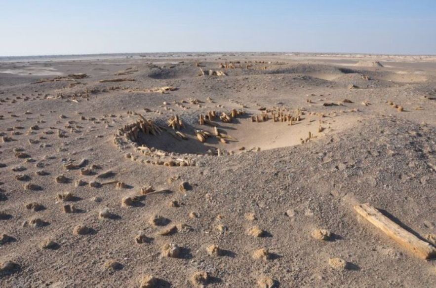 罗布泊曾经是一个美丽的湖泊,罗布泊重现湖泊