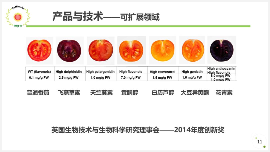 当西红柿遇上烦人的橙子,当番茄遇上西红柿视频