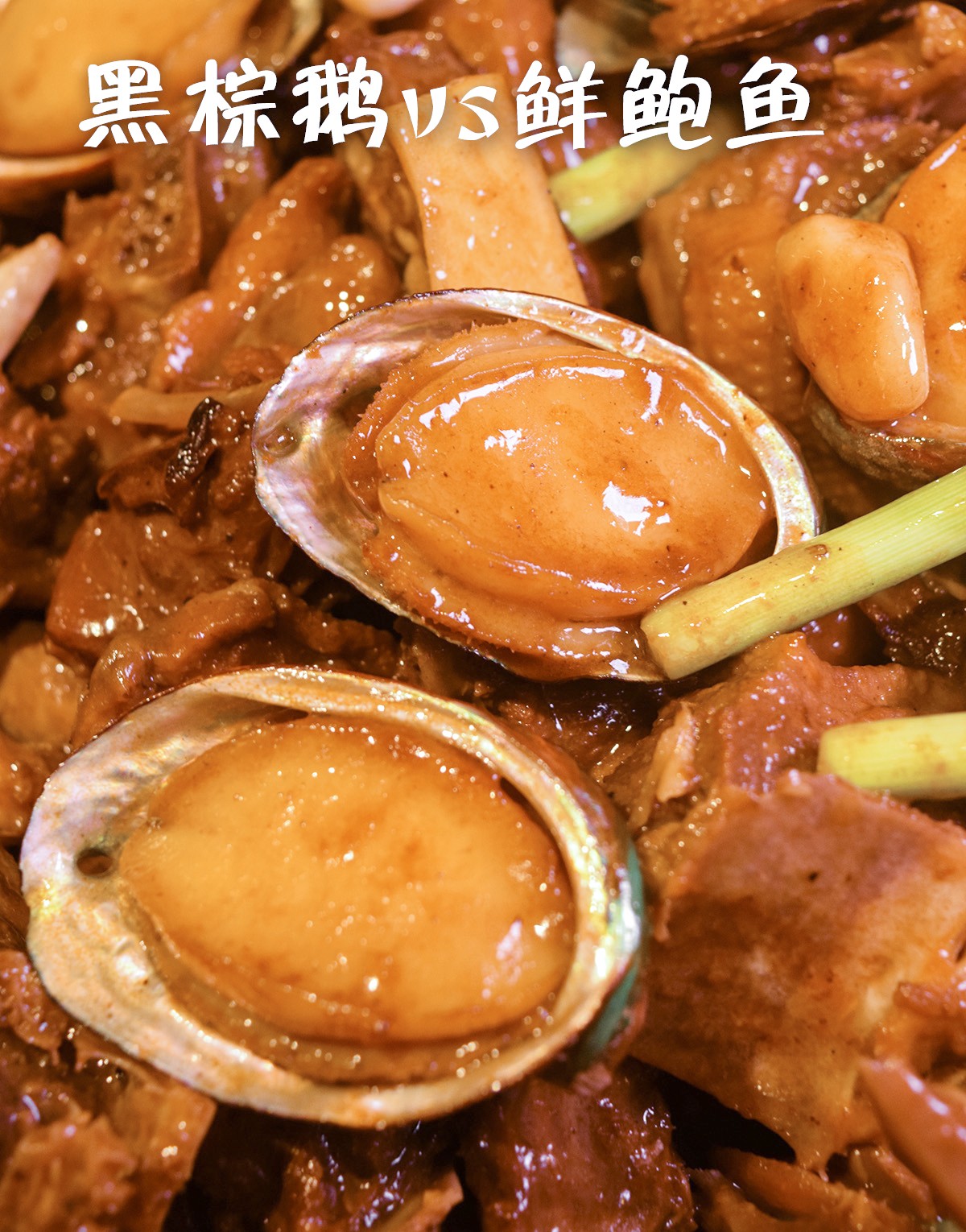 这家老字号食鹅专门店在南海街知巷闻，招牌干逼鹅只需138元锅！