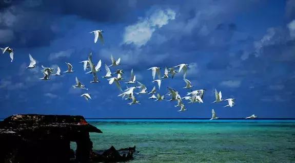 全国数百万人疯涌入海南过年!附上过年全攻略!