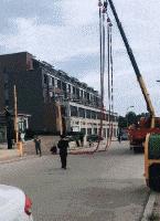 这两位大哥真牛，不知这树还能让他们爽多久