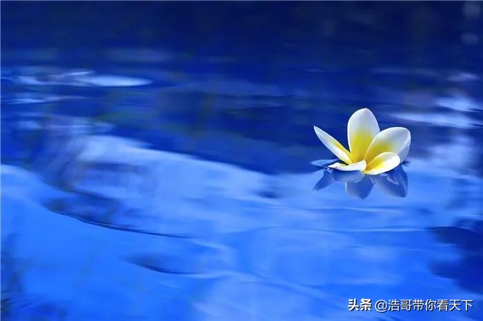 中文到底有多美读着都醉了,中文到底有多美