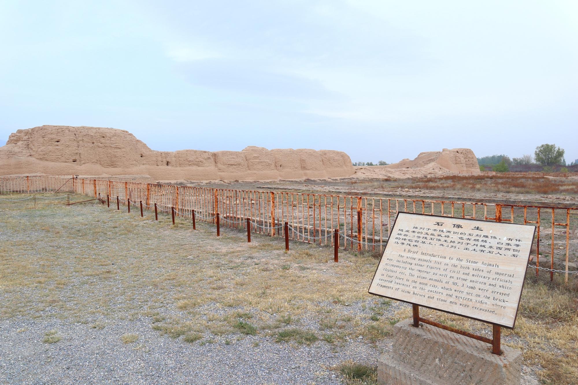 银川的西夏王陵,银川西夏王陵