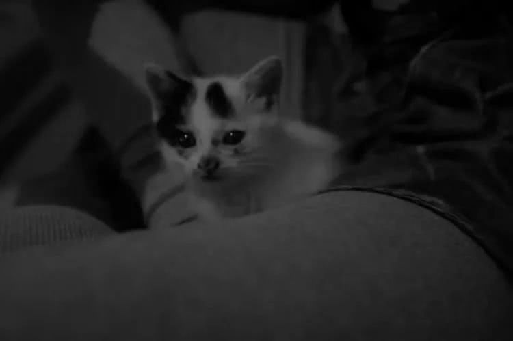 多肉还可以这样玩(上):八年养肉路剪影!