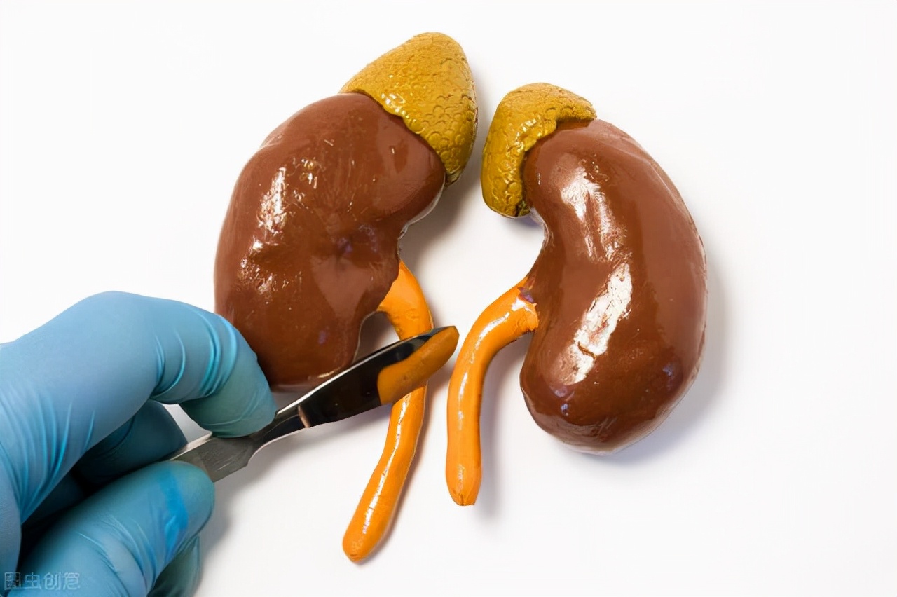 肾肿瘤切除之后血压升高,男性血压突然升高怎么回事