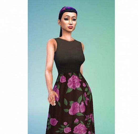 模拟人生十年,模拟人生2015完整