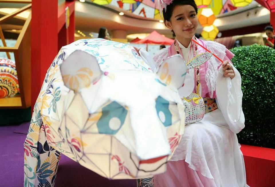 熊猫来永庆坊,鹰潭大熊猫