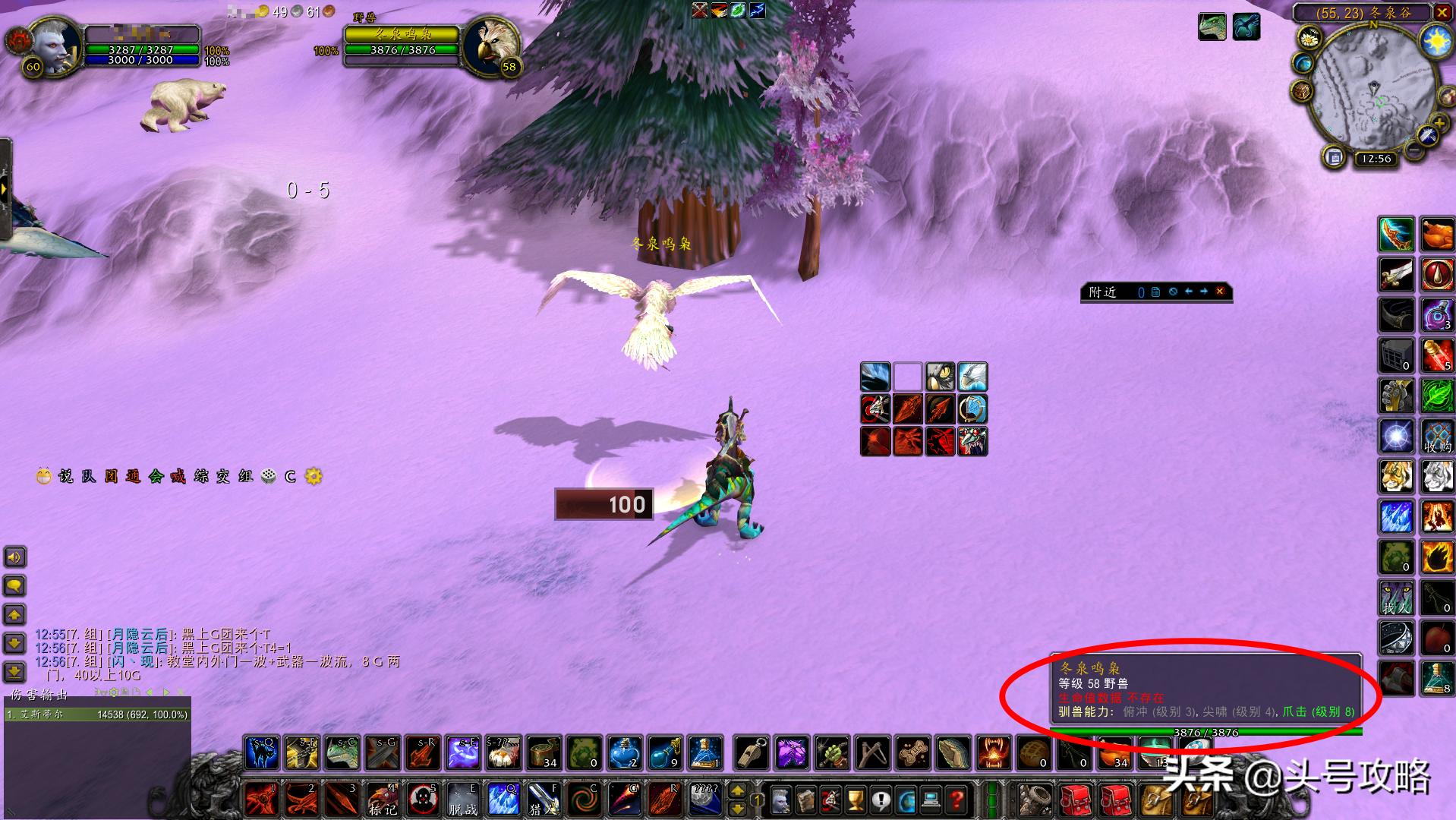 怀旧服满级猎人宠物升级攻略,猎人怀旧服抓宠技巧