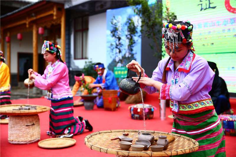 深山一叶香飘万里：在腾冲茶既是绿色资源更是富民支柱