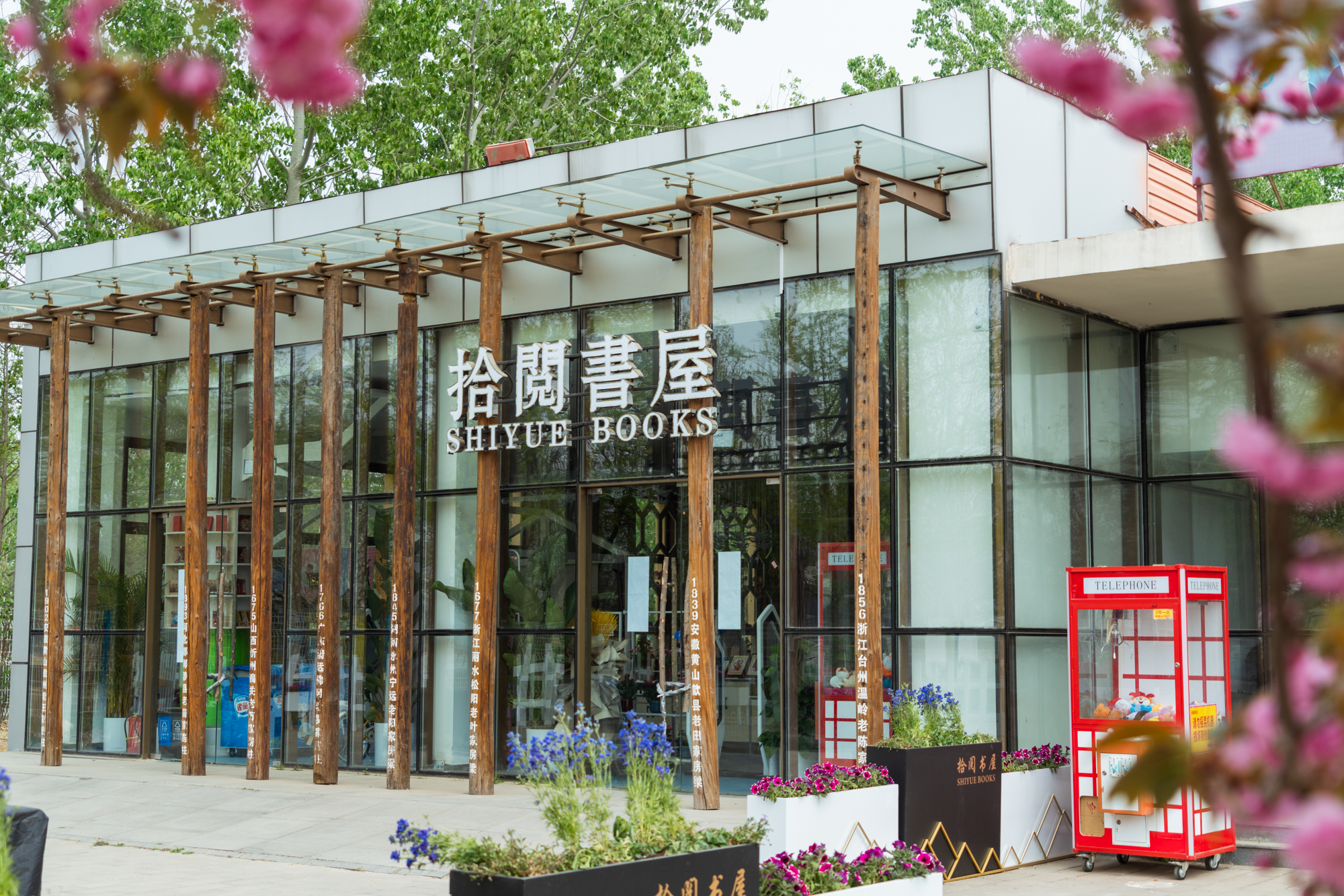 国际鲜花港郁金香,看郁金香北京国际鲜花港