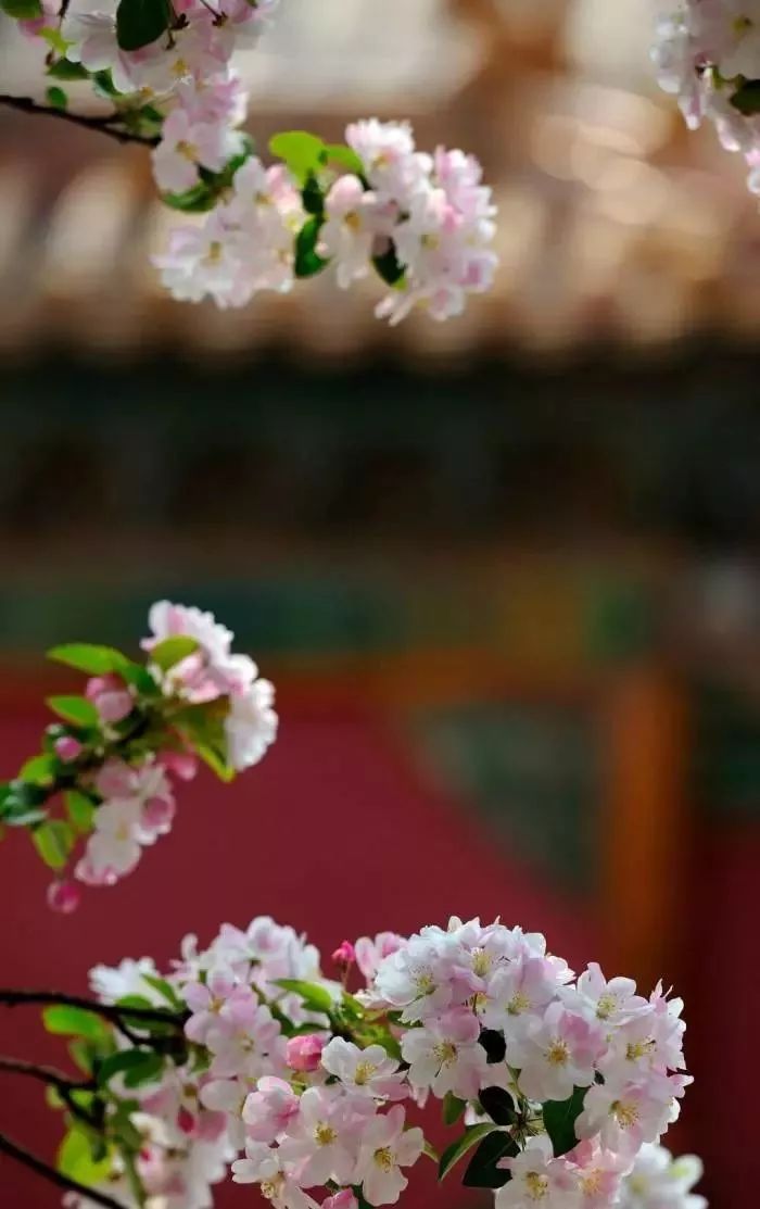 辛弃疾作为词人的幸与悲,辛弃疾送别朋友