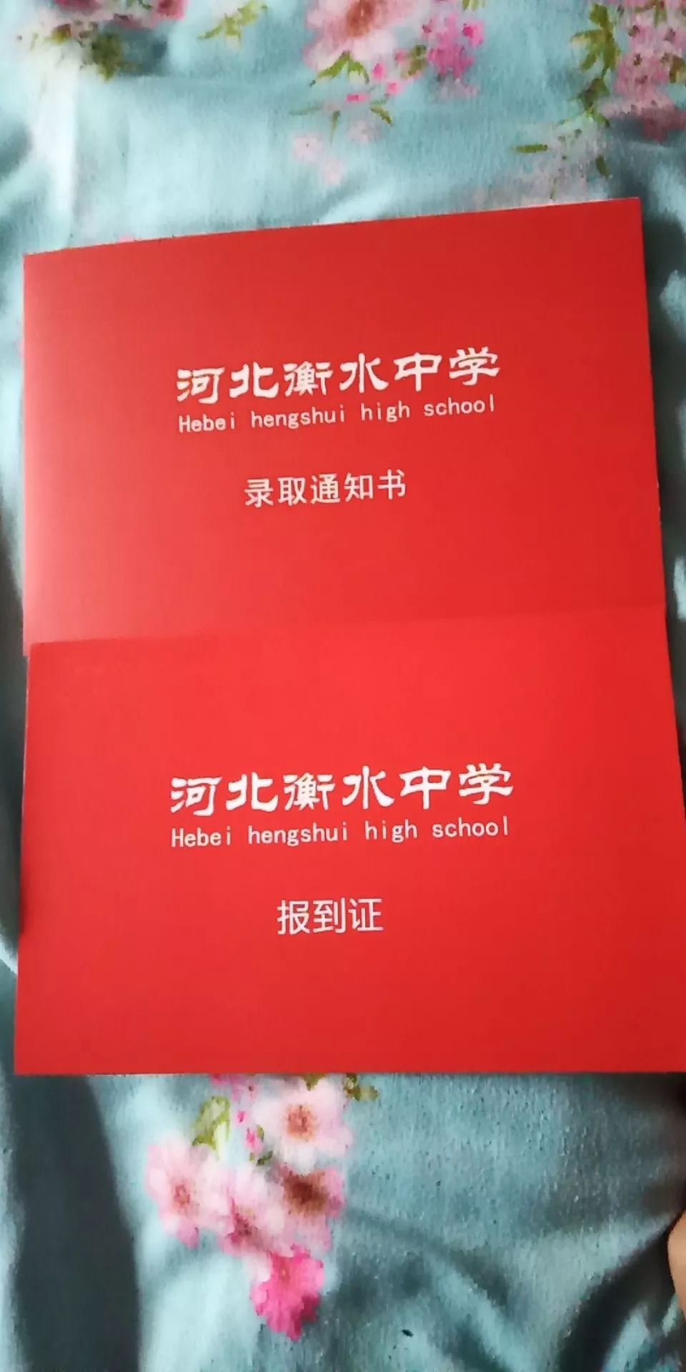 音符故事｜如果只能带三样东西，我选择带上书、带上爱、带上自由