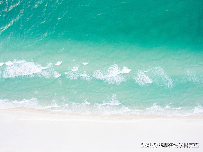 中国需要哪种教育方式,我国幼儿教育的目的