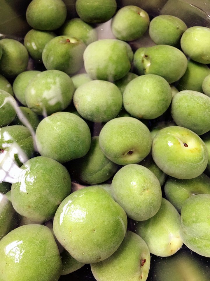 青梅酒怎么泡制的好喝又简单,四月份泡青梅酒的方法