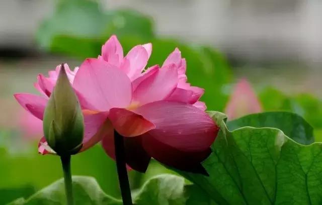 皮尺丈量和钢尺丈量区别,跳远成绩的皮尺正确丈量方法