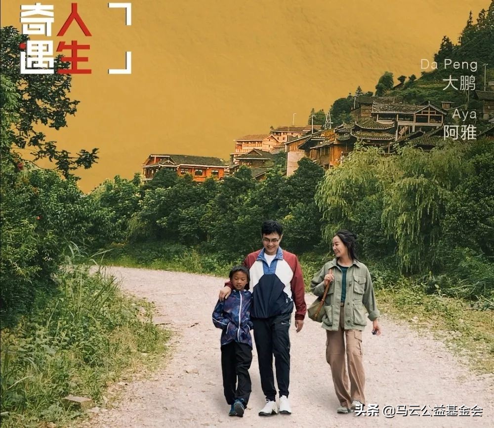 奇遇人生非洲大象,奇遇人生