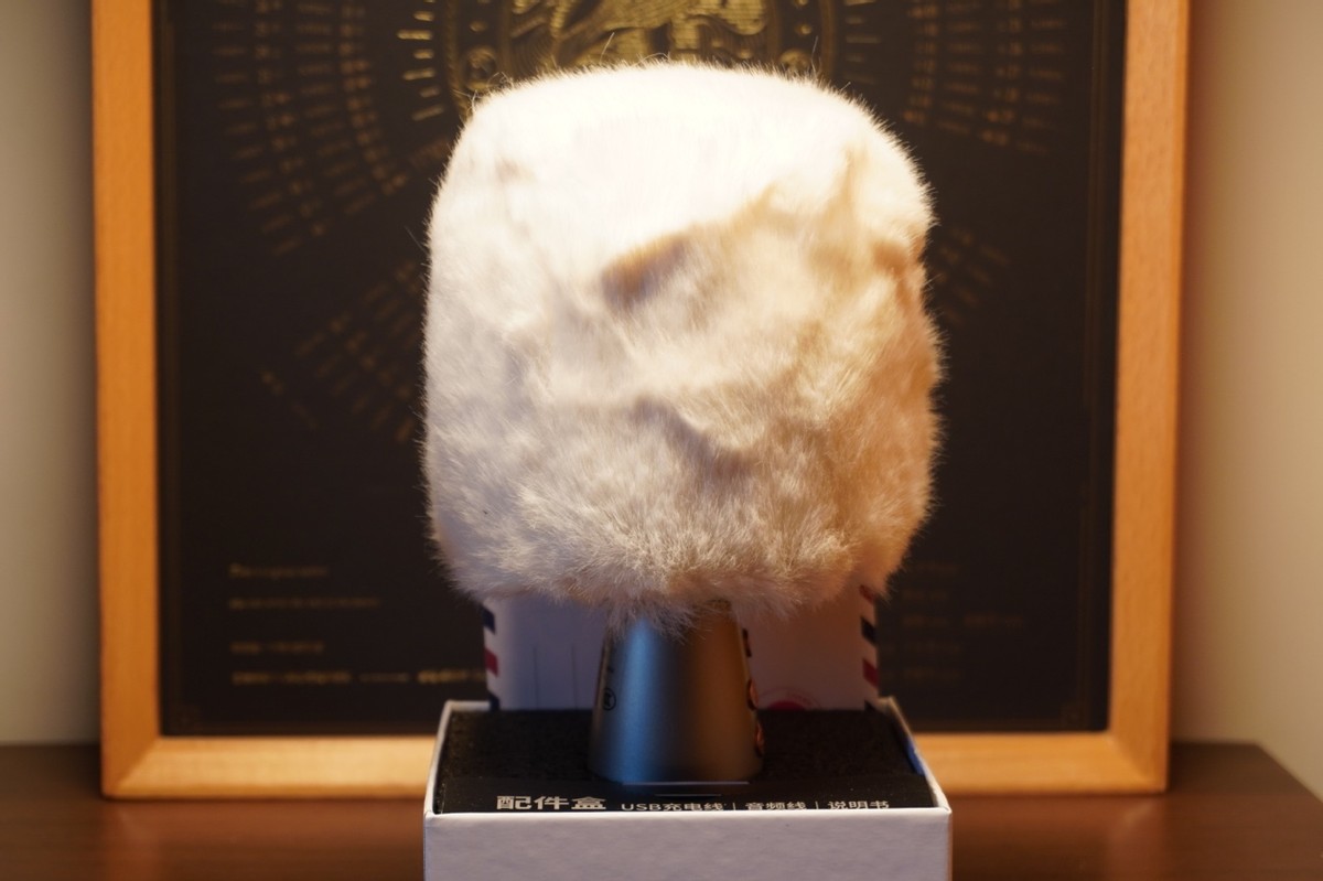 唱吧小巨蛋和全民k歌s6哪个好用,迪丽热巴代言唱吧小巨蛋g2