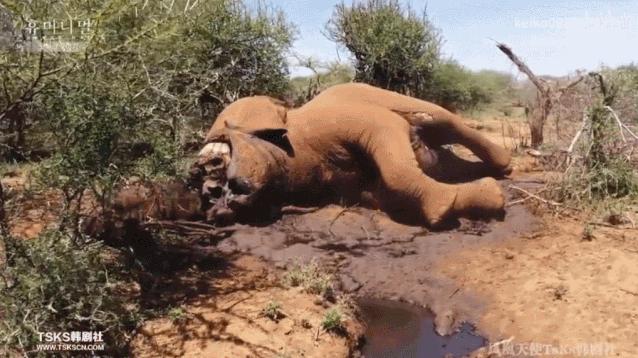 15岁怀孕的她，被骗吃下*药炸**，无辜去世：生而为人，有些人却不配