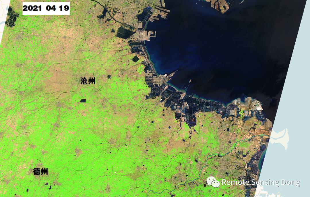 麦熟正当时Ⅴ，卫星看一山隔两季