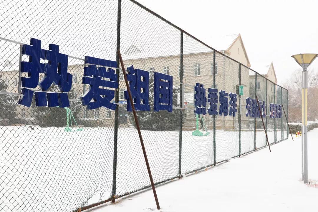 大连海事大学和辽宁省哪个级别高,大连海事大学辽宁省大学排名