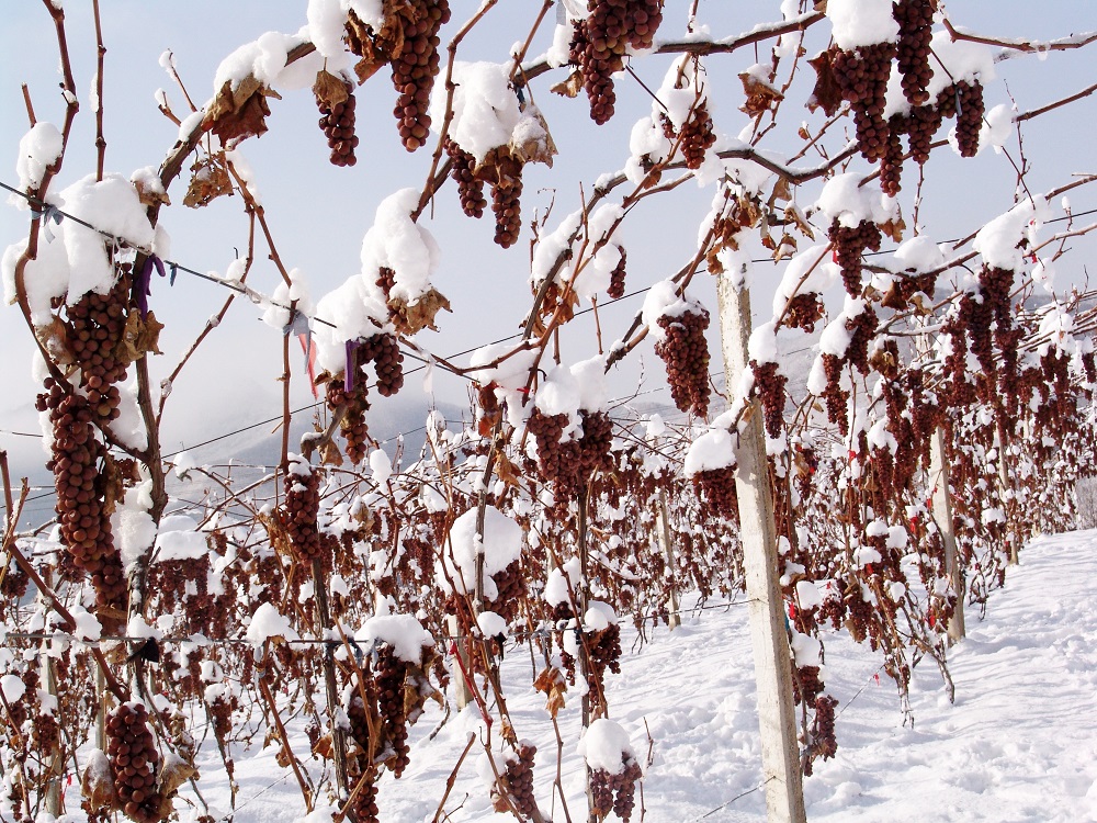 一张图卖出天价,一张图片卖出天价