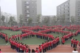 南京市金陵小学南京排名,南京市金陵小学2017