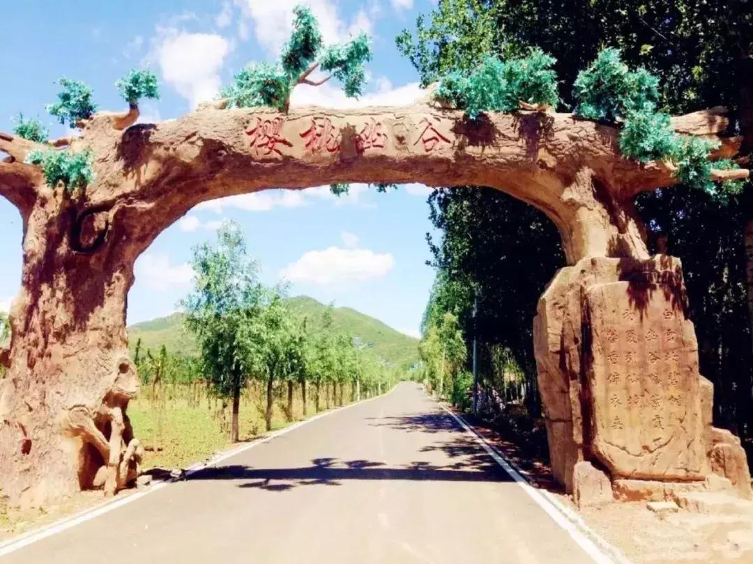 东北五里屯特产排行榜前十名,龙湾特产必买清单