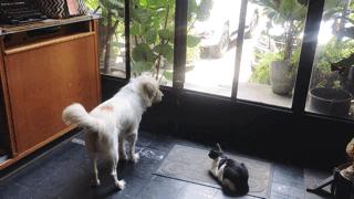 别再去曼谷的大众景点打卡了，换一种方式感受生活