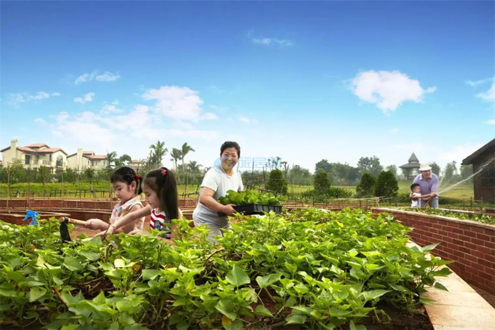 富力红树湾怎么样？区位、配套、产品多方位深入解析