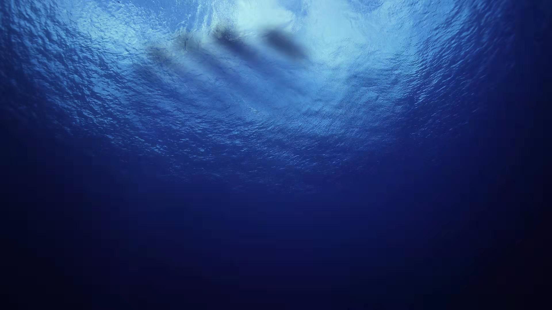 罗永浩谈演讲,罗永浩老人与海演讲