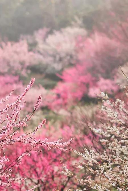 南京天空之镜高清图,中国五大惊艳世界的城市