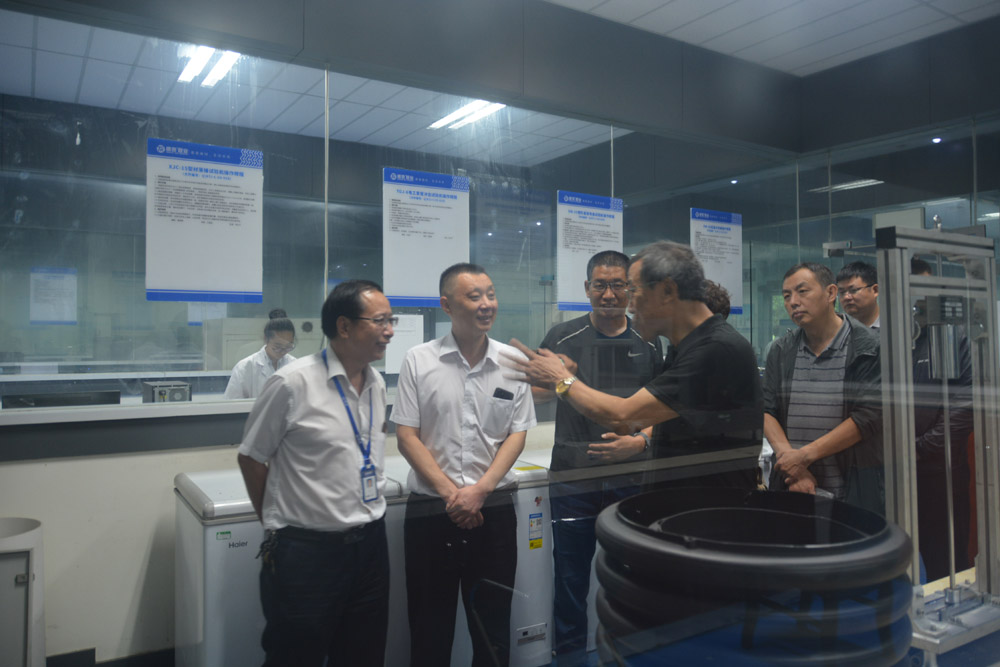 党政考察团深入康县,陕西省城乡建设规划研究院