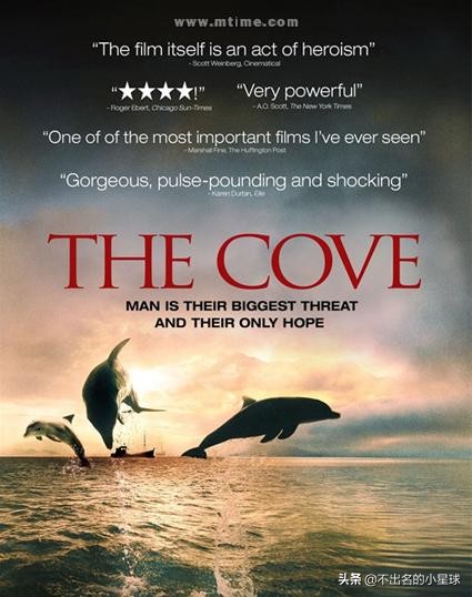 日本海豚湾的恐怖故事,日本海豚湾的恶行是被谁揭开的