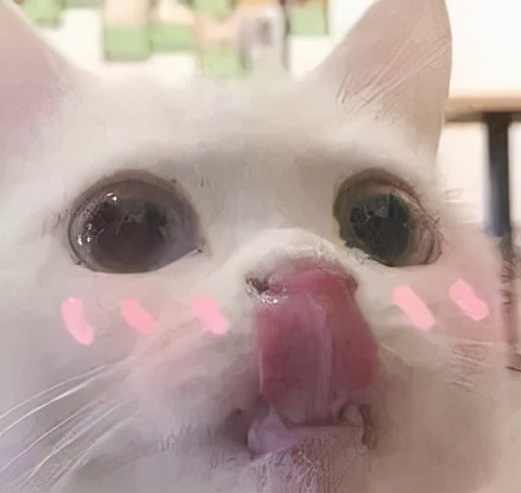 肾虚体寒喝什么,肾虚体寒需要治疗吗