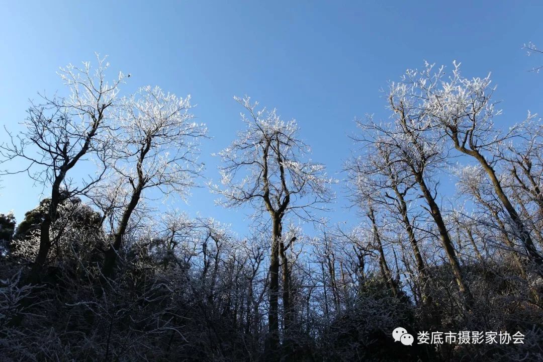 最新风景摄影小品欣赏,娄底景观小品